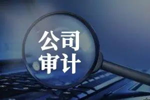 分类宁德审计