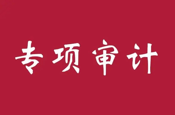 一起来看看哪些是宁德高新专项审计报告的目的？